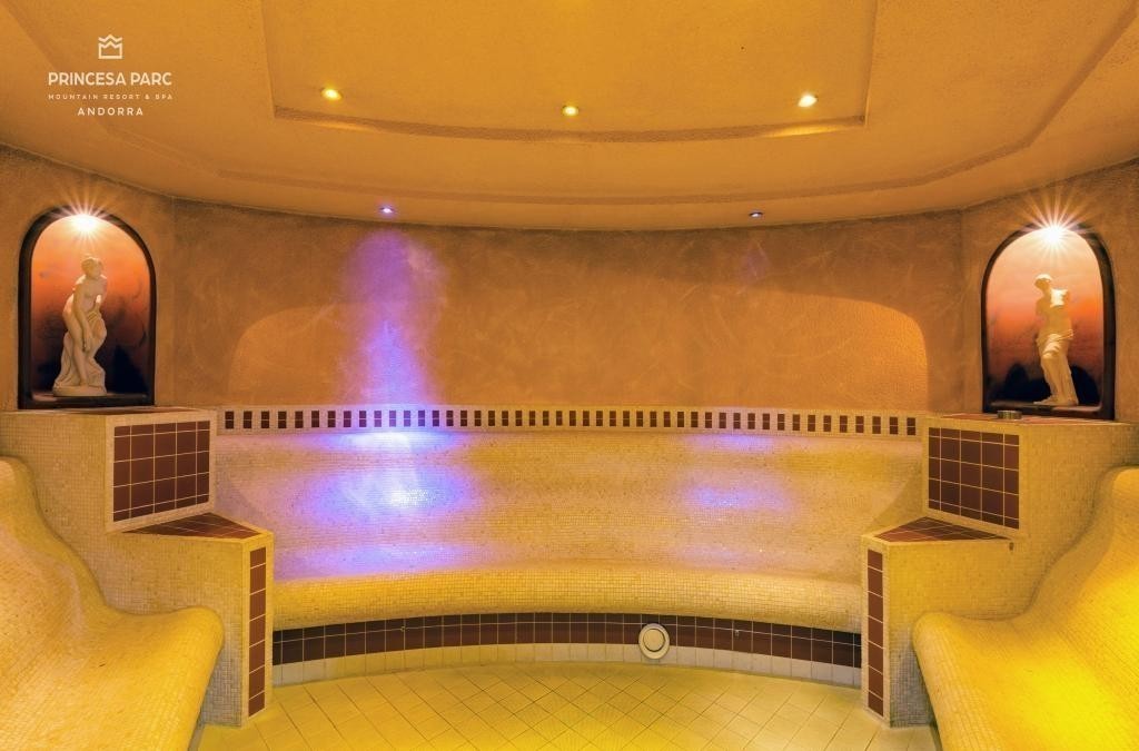 ¡Visita Andorra en familia con hotel 4*! - Hotel Princesa Parc