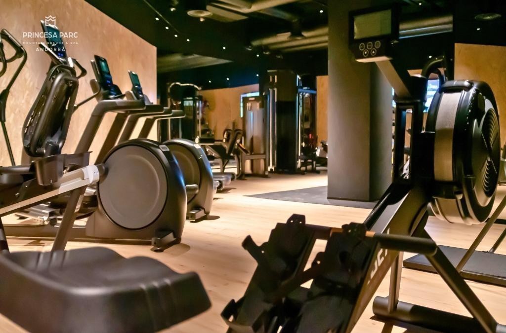 ¡Visita Andorra en familia con hotel 4*! - Hotel Princesa Parc