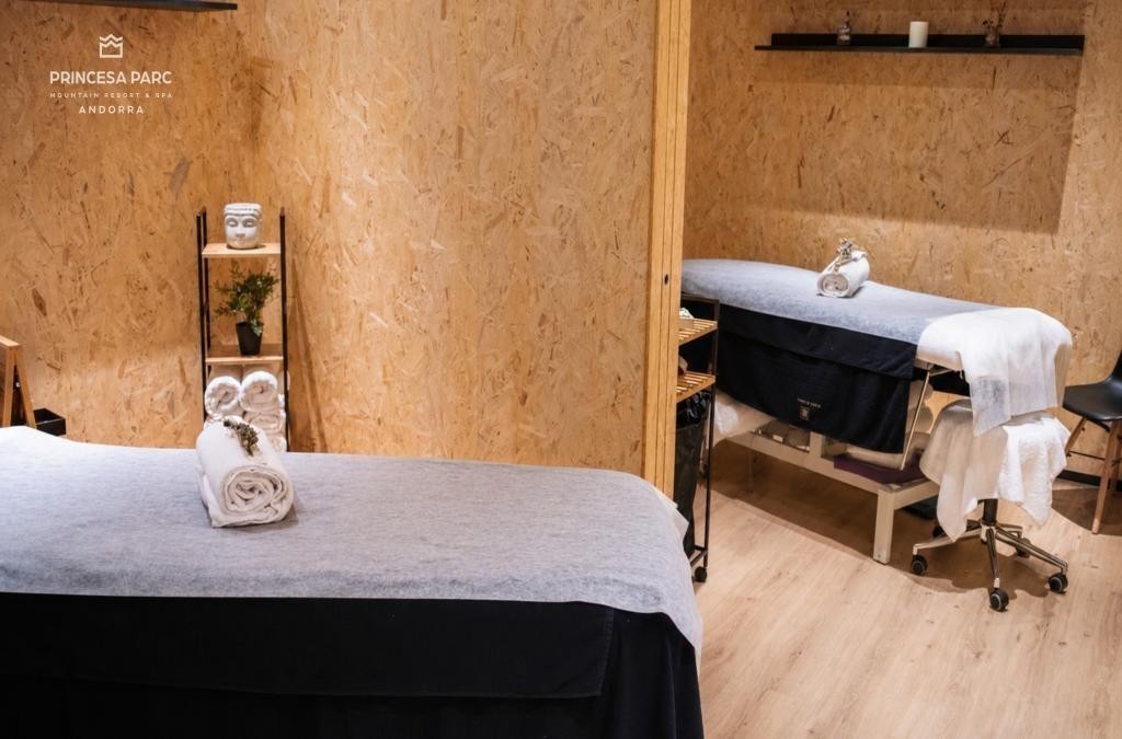 ¡Visita Andorra en familia con hotel 4*! - Hotel Princesa Parc