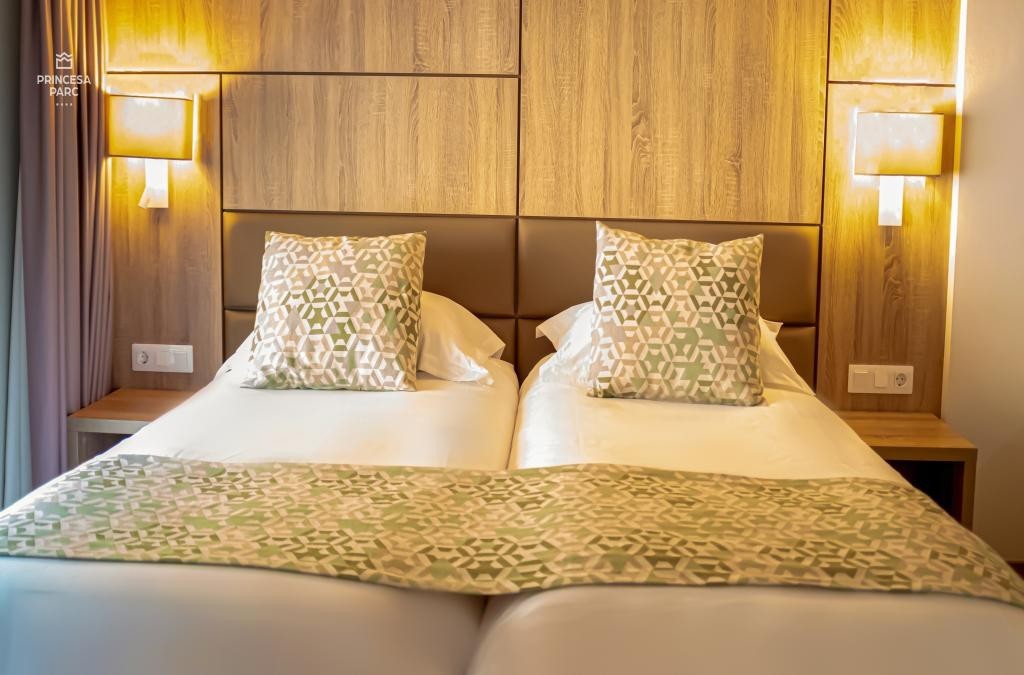 ¡Visita Andorra en familia con hotel 4*! - Hotel Princesa Parc