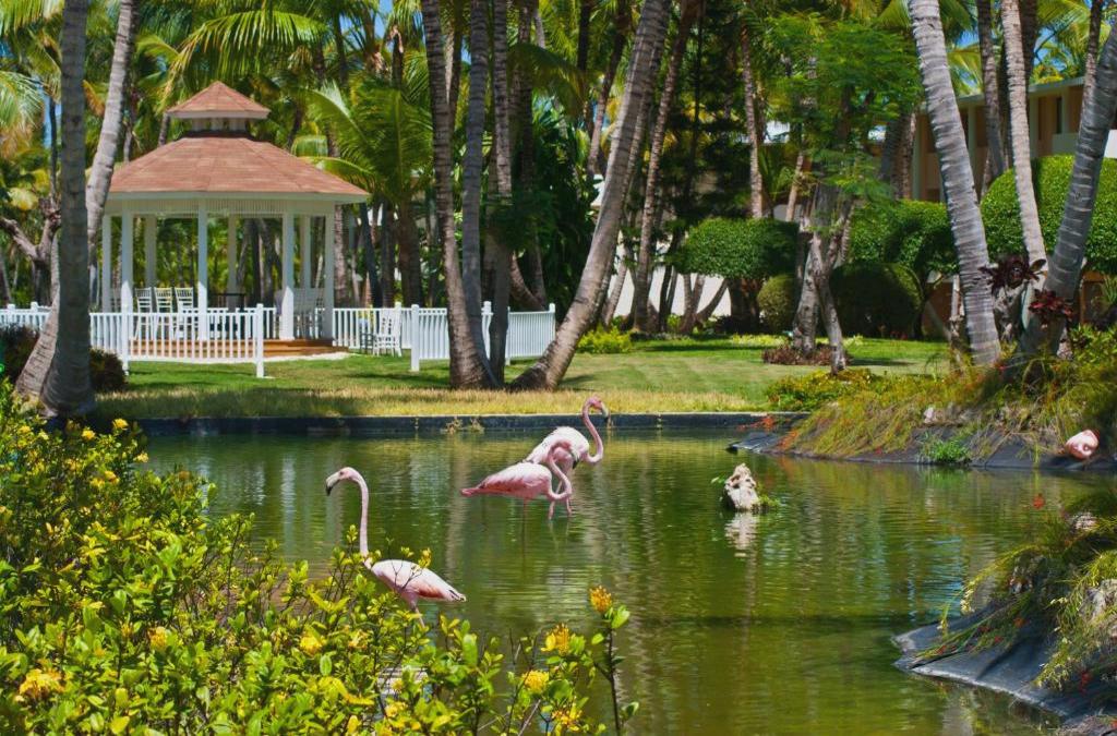 ¡Punta Cana con Vuelos y Hotel 5* en TODO INCLUIDO! - Hotel Catalonia Bávaro Beach