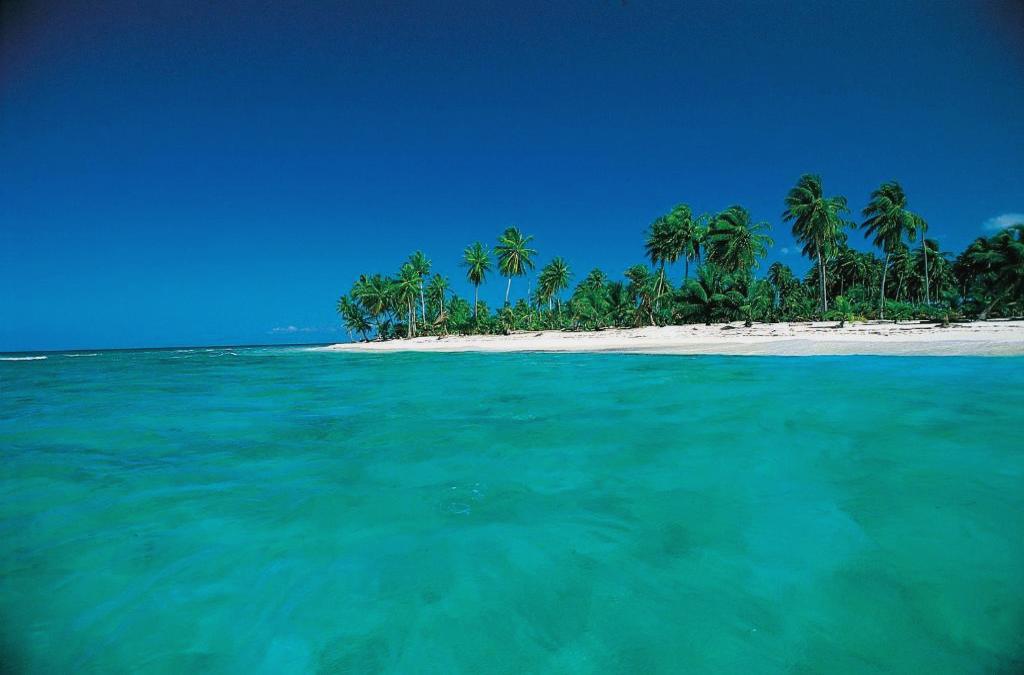 ¡Nos vamos al Caribe! Punta Cana con vuelos y Todo Incluido - Barceló Bávaro Beach (Adults only)