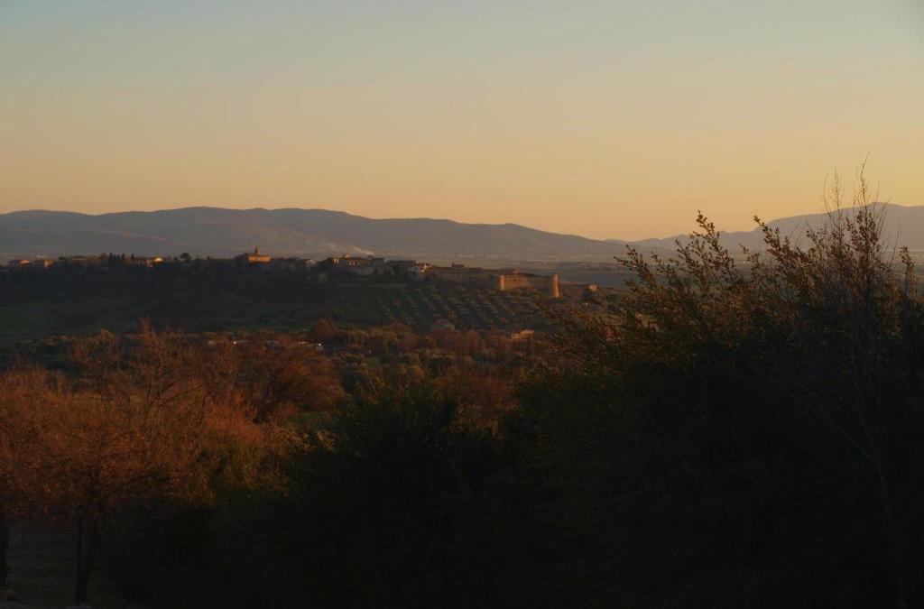 Essence Maremma Toscana - Borgo Magliano Resort