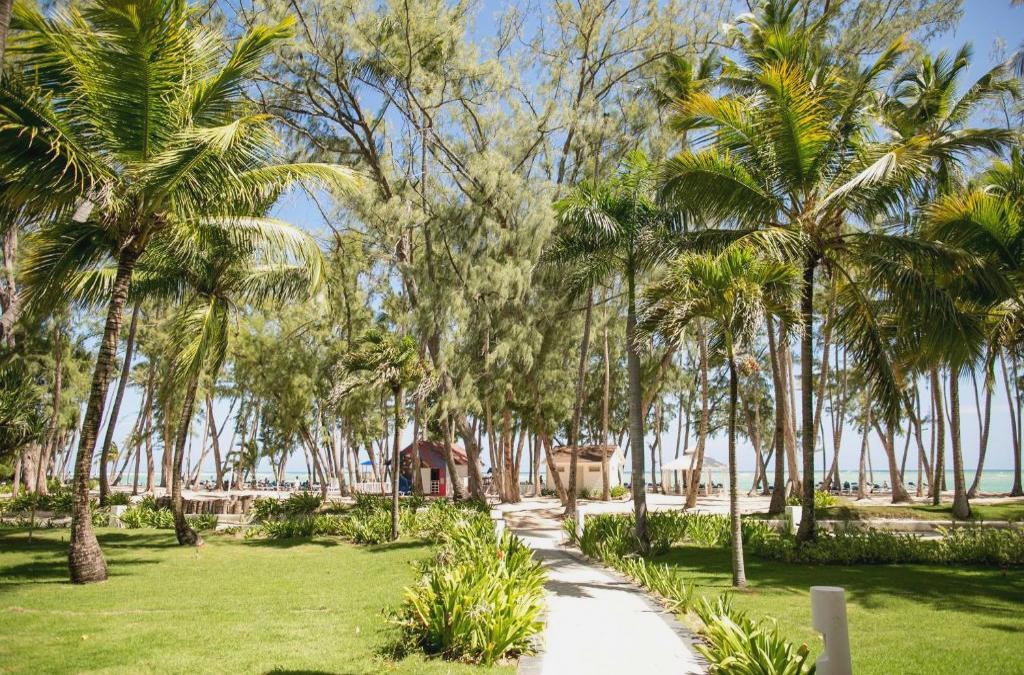 ¡Nos vamos al Caribe! Punta Cana con vuelos y Todo Incluido - Vista Sol Punta Cana Beach Resort & Spa