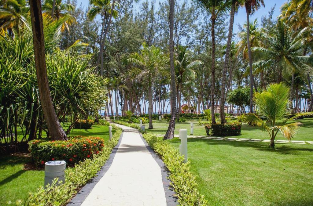 ¡Nos vamos al Caribe! Punta Cana con vuelos y Todo Incluido - Vista Sol Punta Cana Beach Resort & Spa