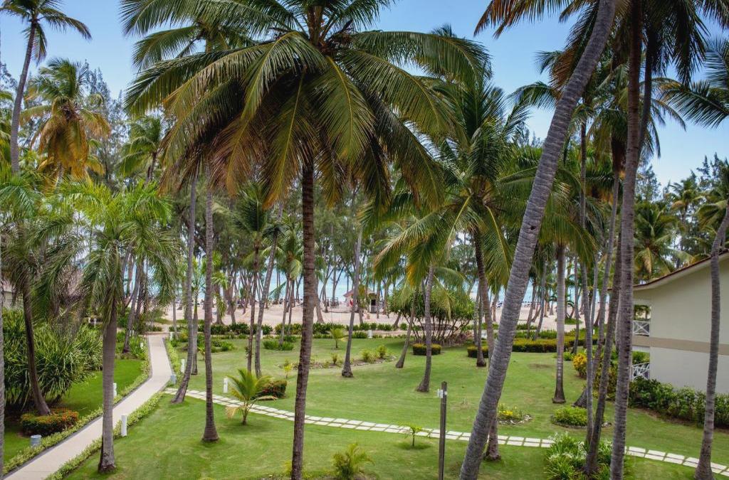 ¡Nos vamos al Caribe! Punta Cana con vuelos y Todo Incluido - Vista Sol Punta Cana Beach Resort & Spa