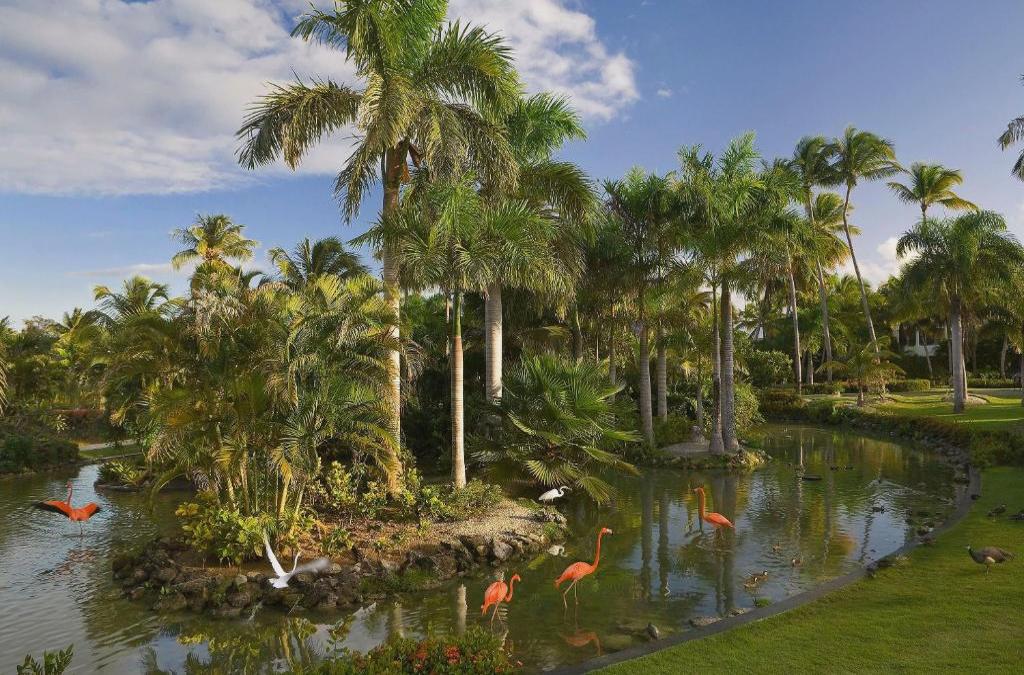 Meliá Caribe Beach Resort