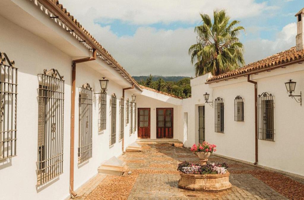 DWO Finca Los Abetos