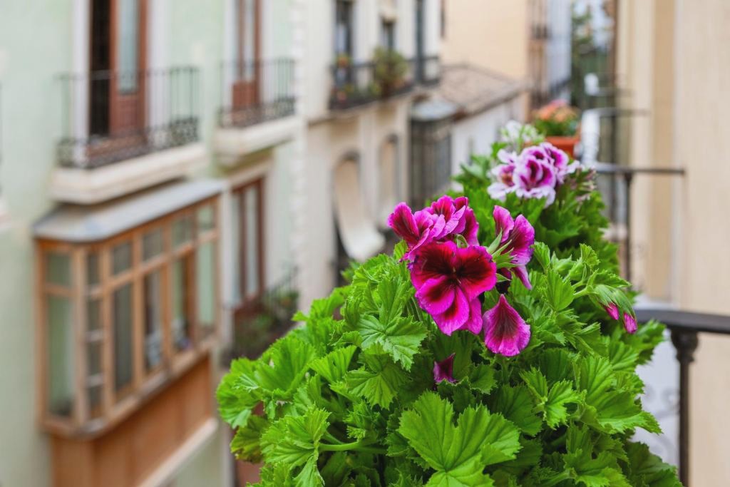 Hotel en pleno centro de Granada con desayunos - Porcel Navas