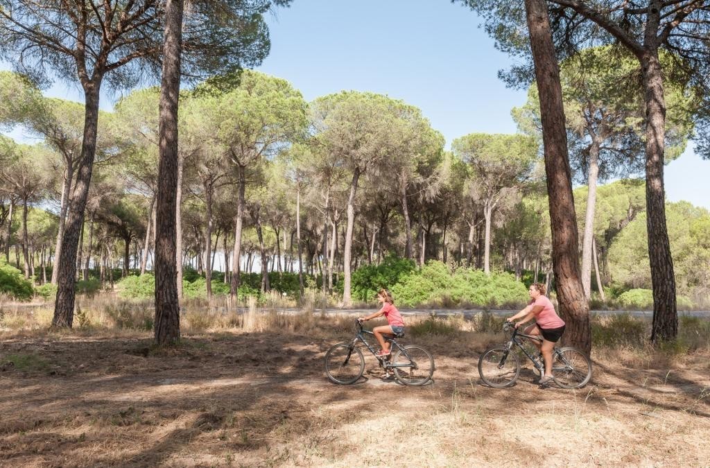 Desconecta en la naturaleza del Parque Nacional de Doñana - Huttopia Parque De Doñana