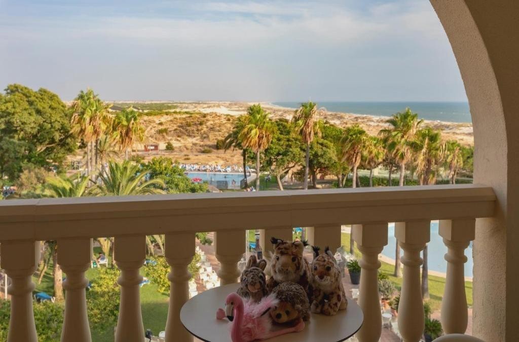 Disfruta de Doñana en hotel 4* con acceso directo a la playa de Matalascañas - Gran Hotel del Coto