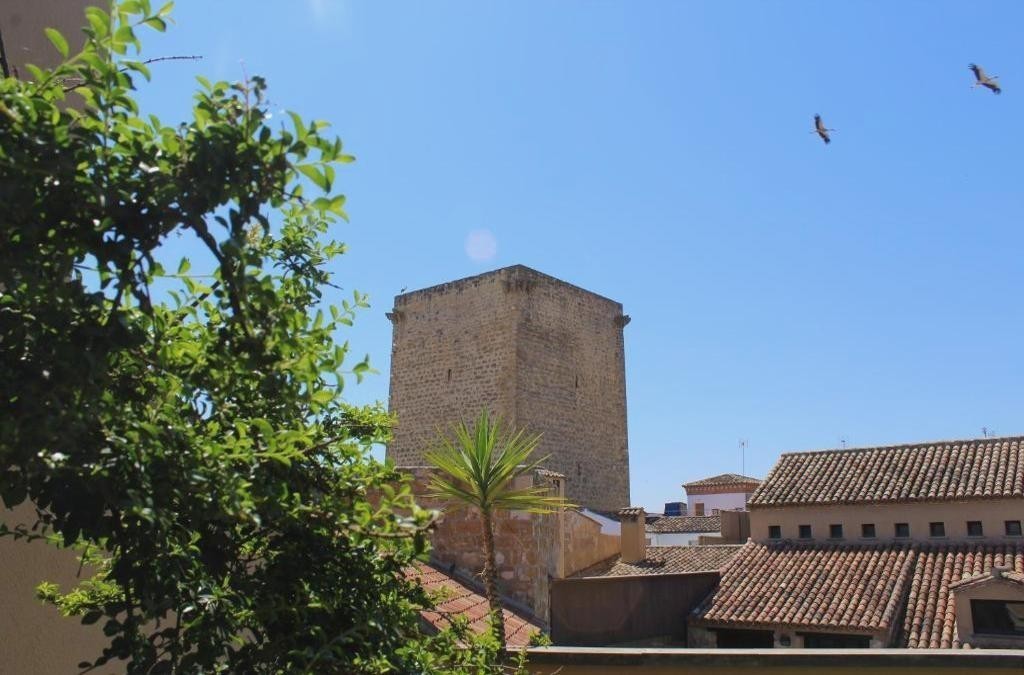 ¡Descubre la joya de Jaén! Un palacio del s. XV con Spa incluido