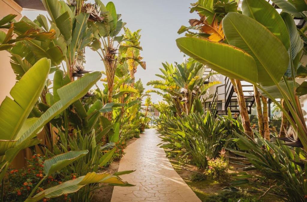 Palácio só para adultos em Mojacar