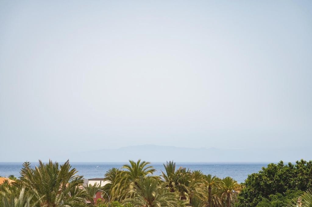 Disfruta de Playa de las Americas (Tenerife,Canarias) - BARRANCO Chic! Apartments