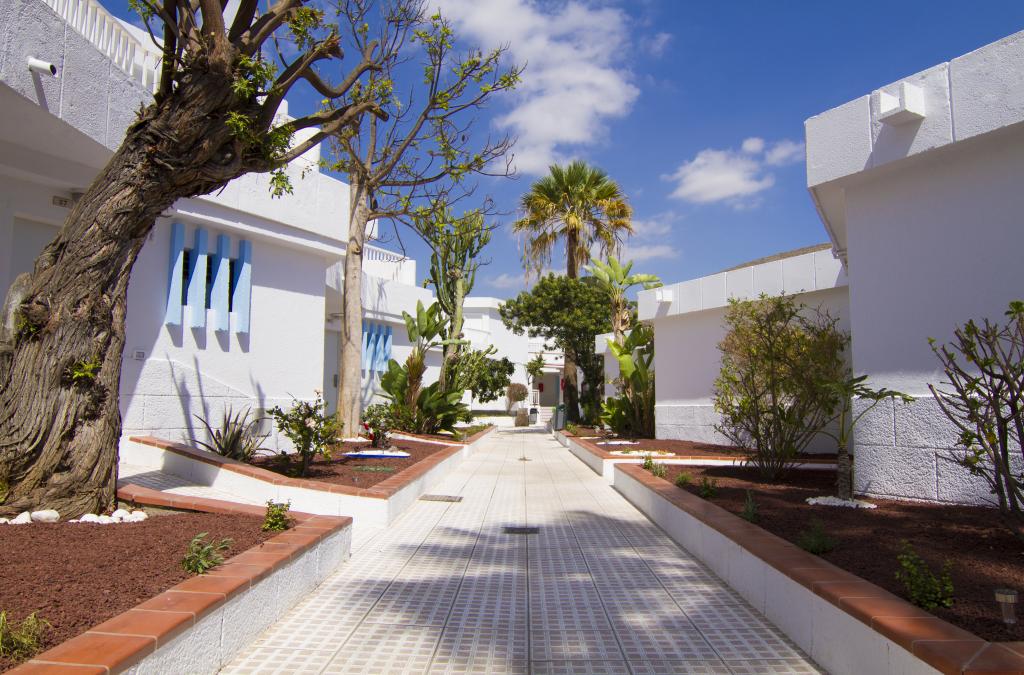 Vacaciones  en el Sur de Tenerife