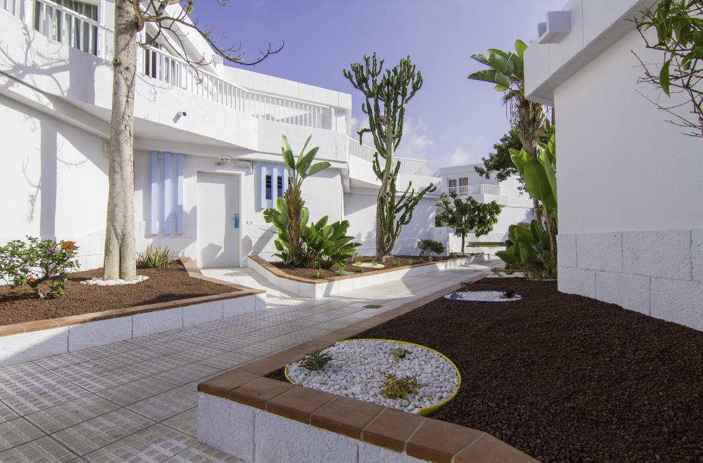 Vacaciones  en el Sur de Tenerife