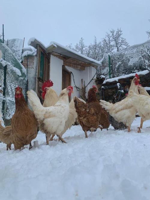 Experience the authentic Cantabria: tradition, relaxation and tasting included!