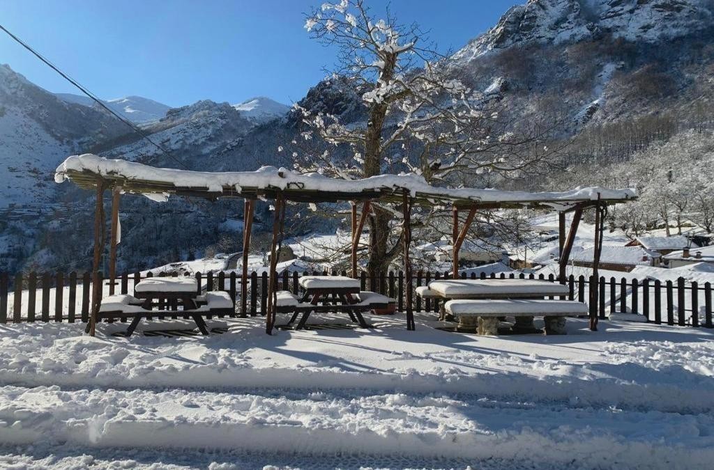 Picos de Europa: ¡Gastronomía y Trekking!