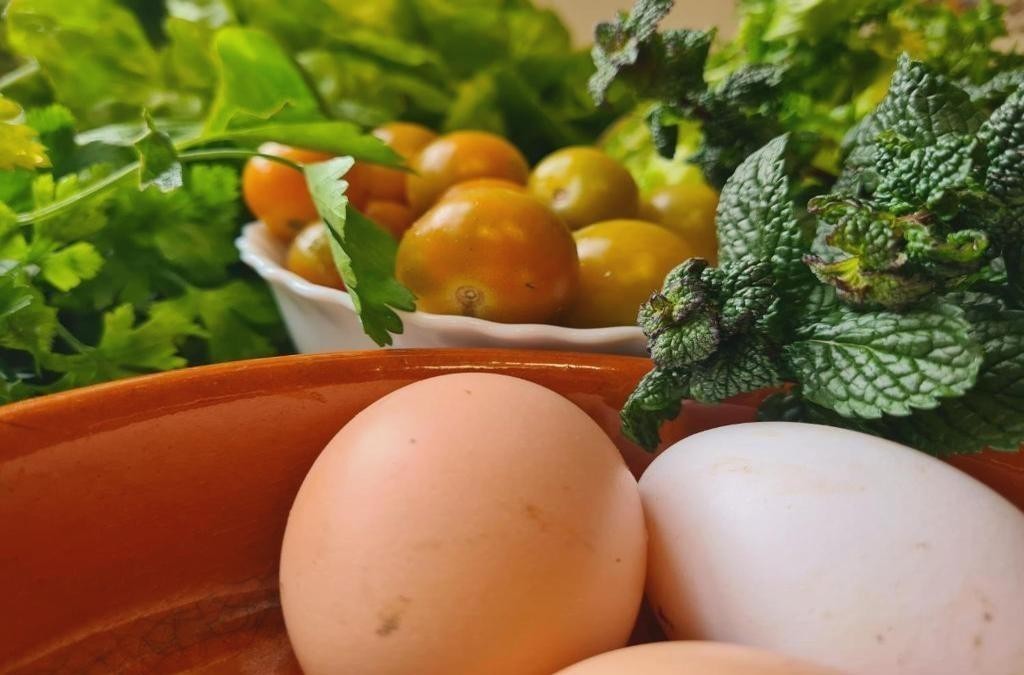 Picos de Europa: ¡Gastronomía y Trekking! - Hotel Rural la Posada El Sestil