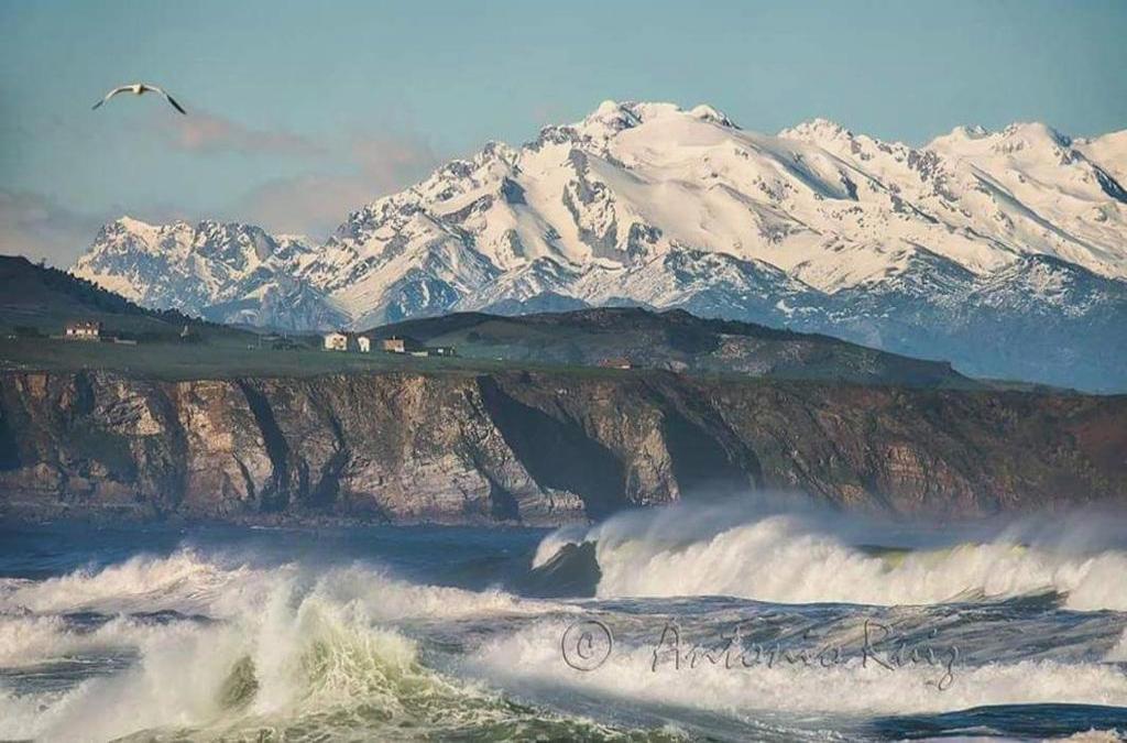 Hotel Mar Azul y Surf