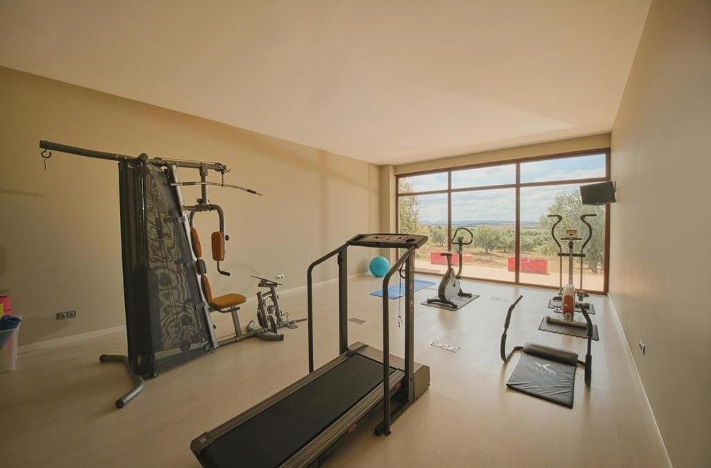 Toledo a todo lujo: hotel 4* en un entorno único ¡Spa incluido! - Hotel Spa Villa Nazules