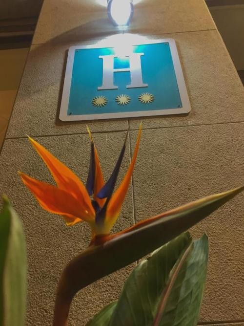 ¡ÚLTIMA HORA! Blanes a 200 metros de la playa en Media Pensión - Hotel Stella Maris