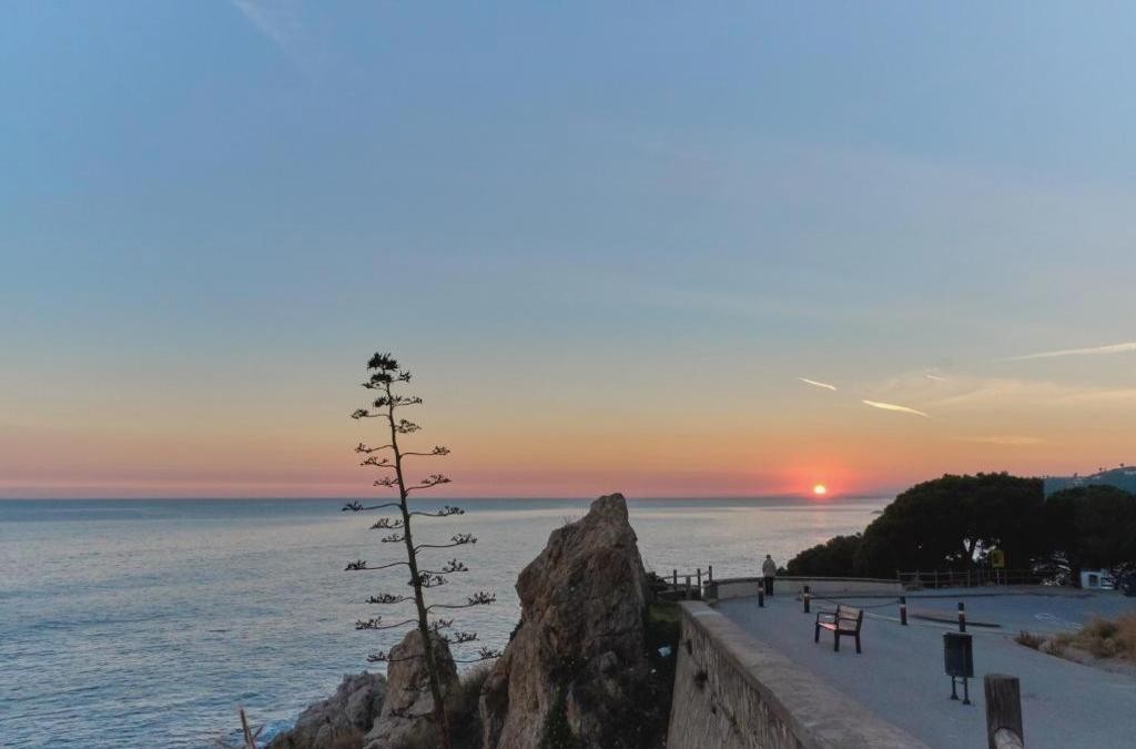 Verano en hotel 4* en Calella ¡niños viajan con 50% de descuento! - Hotel Oasis Park Splash