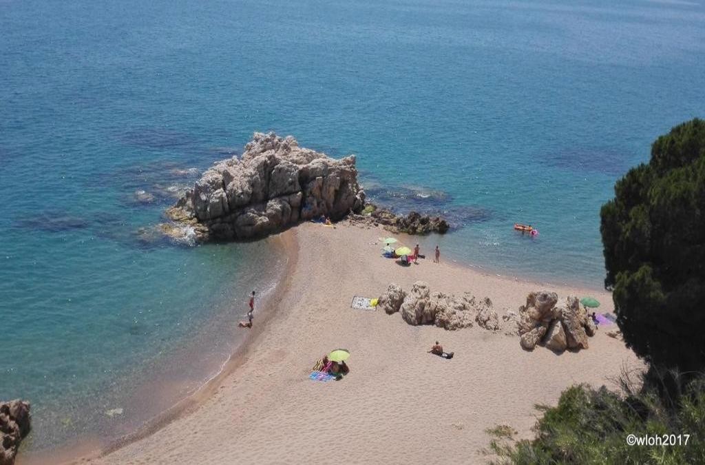 Verano en hotel 4* en Calella ¡niños viajan con 50% de descuento! - Hotel Oasis Park Splash