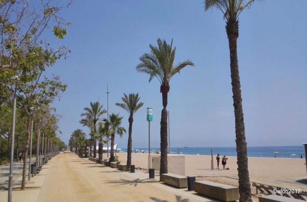 Verano en hotel 4* en Calella ¡niños viajan con 50% de descuento! - Hotel Oasis Park Splash