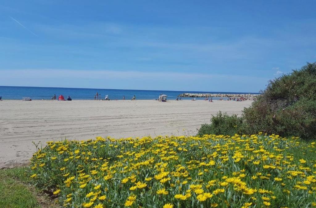 Camping La Llosa