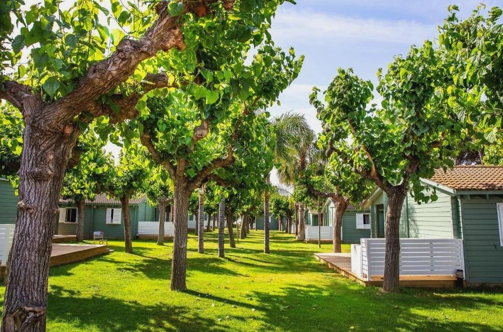 Camping La Llosa