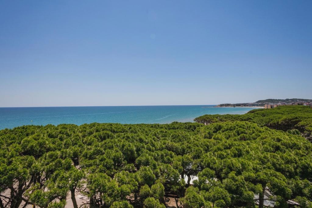1ª línea de playa en Hotel 4* en la Pineda - Hotel Best Terramarina