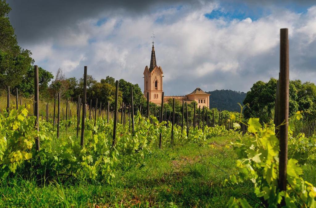 Hotel 5* en un monasterio del s. X en plena Costa Brava - Sant Pere del Bosc Hotel & Spa - Adults Recommended