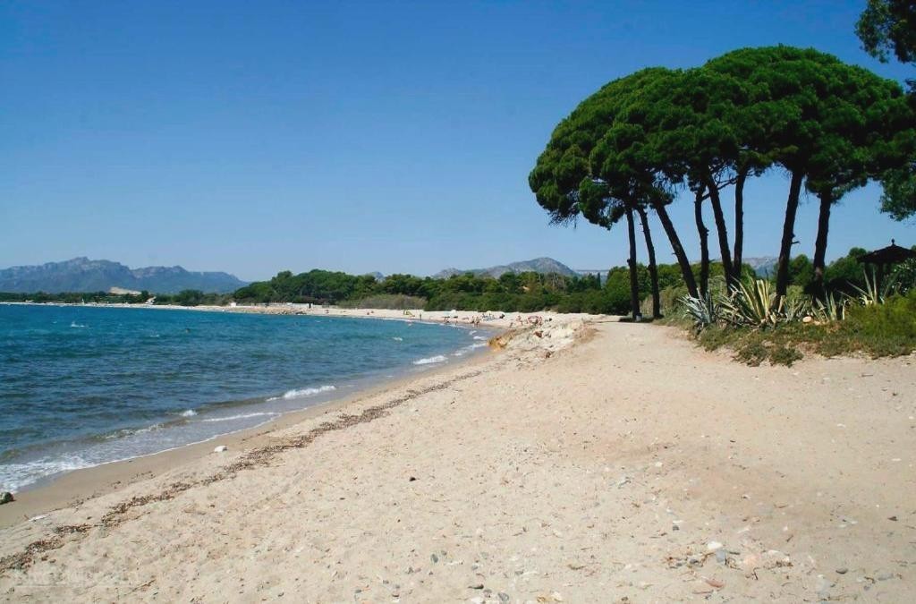 Camping Playa y Fiesta