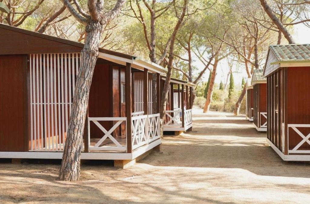 Costa Brava en modo camping: descubre Palamós