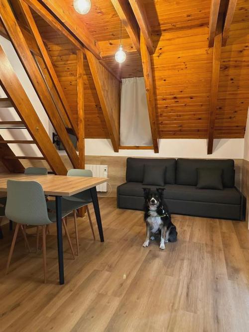 Duerme bajo las estrellas en la Vall de Boí ¡SPA incluido!