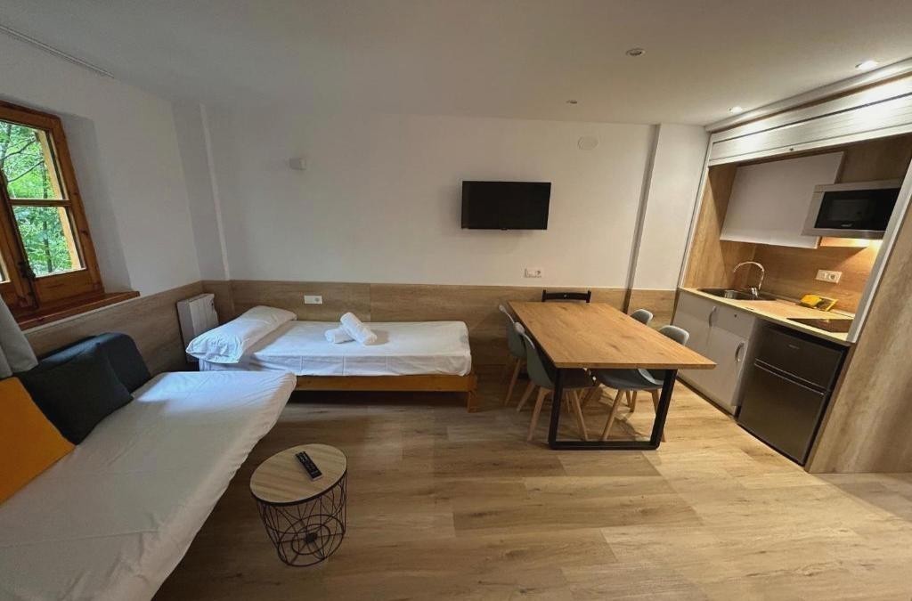 Vacaciones en Boí Taüll Resort. ¡Los niños viajan gratis! - Apartamentos La Solana