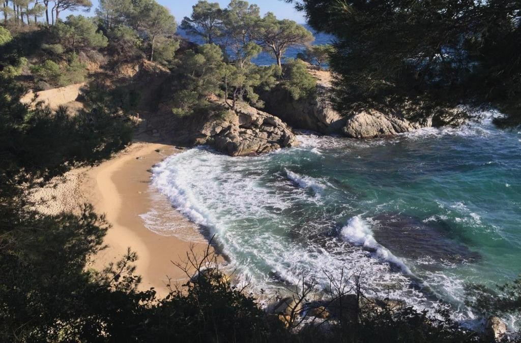 Platja d’Aro: apartamentos en la Costa Brava para disfrutar a tu aire - Daro Apartments