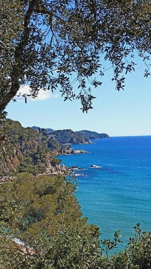 Platja d’Aro: apartamentos en la Costa Brava para disfrutar a tu aire - Daro Apartments