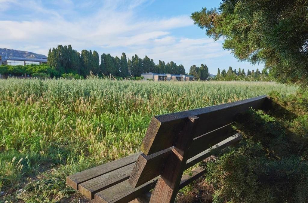 Descubre el Empordà en un exclusivo hotel 4* sostenible