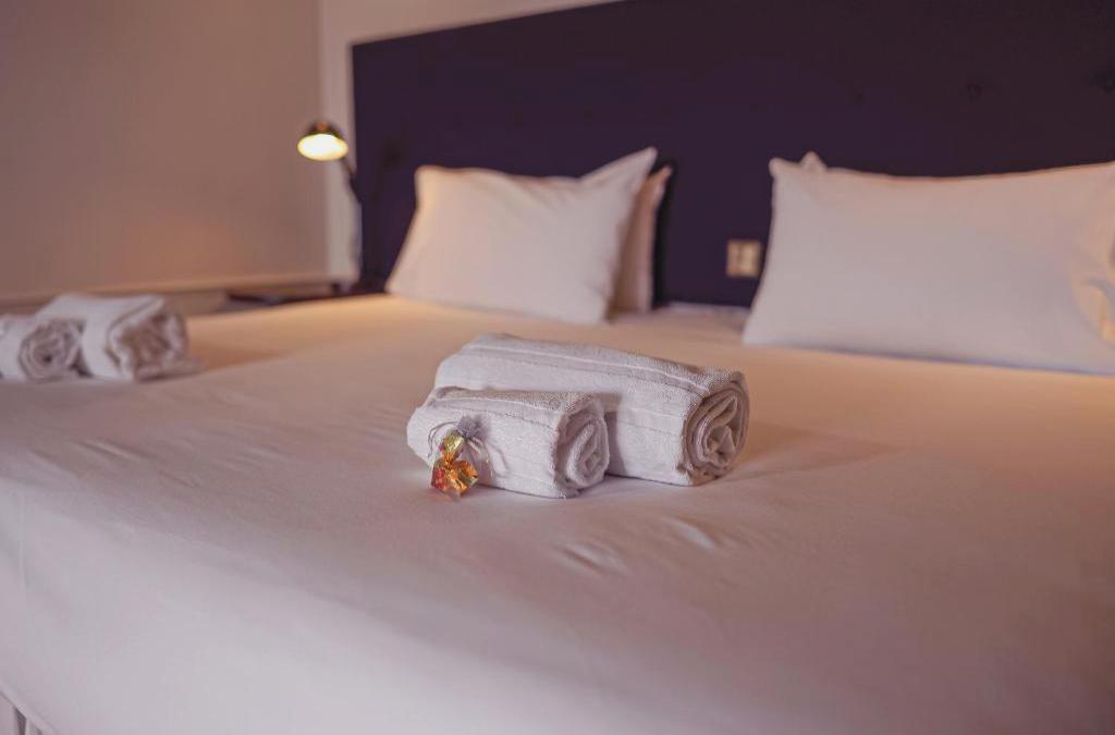 Desconexión total: Naturaleza y Spa en un hotel 4* en Navacerrada - Hotel Hita