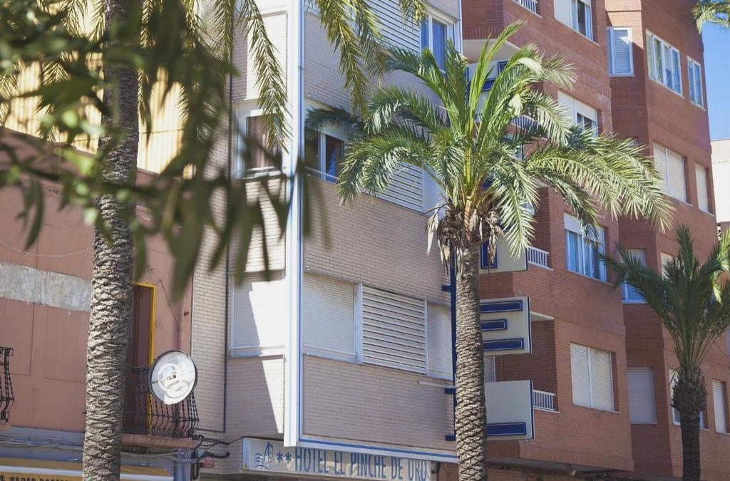Benicarló a pie de paseo marítimo: ¡Disfruta la costa desde primera línea! - El Pinche de Oro