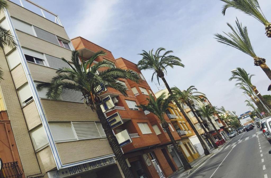 Benicarló a pie de paseo marítimo: ¡Disfruta la costa desde primera línea! - El Pinche de Oro