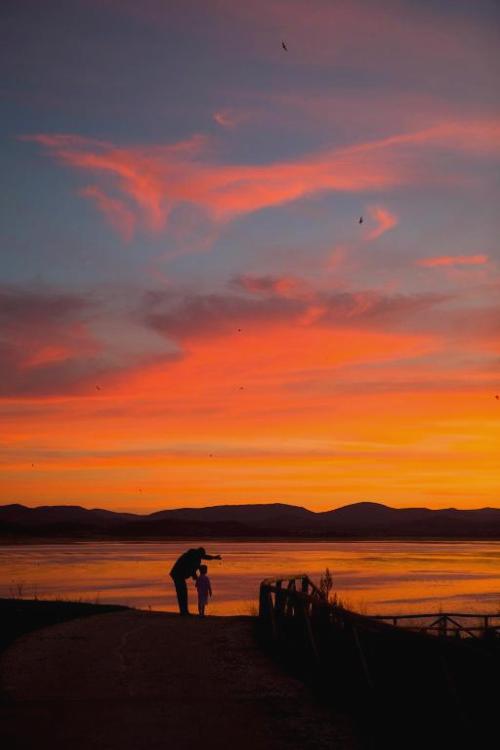 Resort Isla de Valdecañas: 4* y naturaleza en Extremadura - Vincci Valdecañas Golf