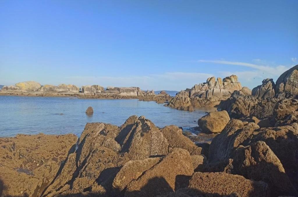 Vive el encanto marinero de O Grove (Galicia) - Duerming San Vicente Hotel