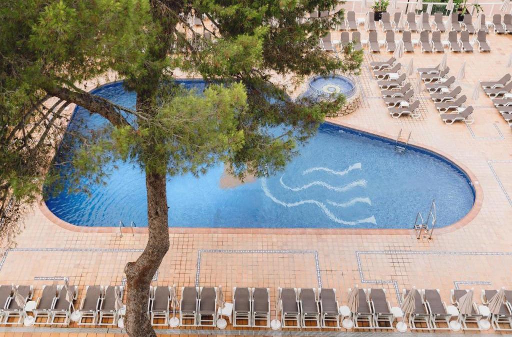 Ibiza, where Summer lingers