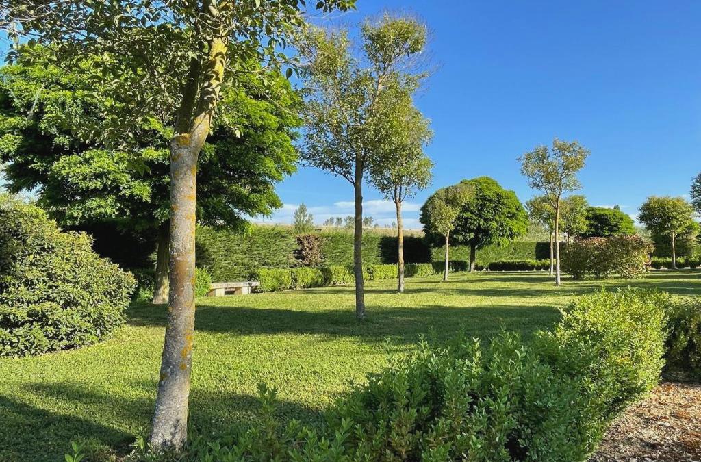 ¡Desconexión entre viñedos! La Rioja desde tu villa privada