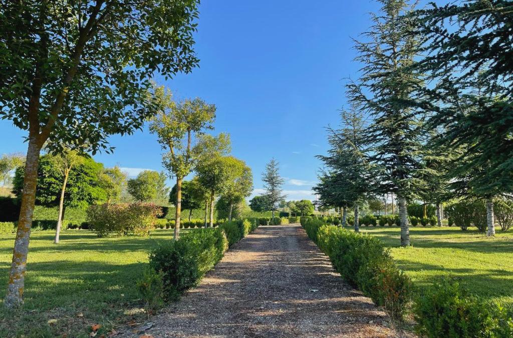 ¡Desconexión entre viñedos! La Rioja desde tu villa privada