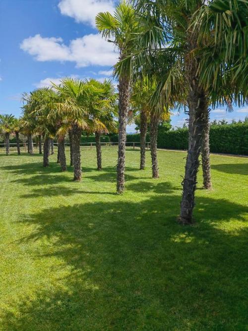 ¡Desconexión entre viñedos! La Rioja desde tu villa privada - Natura Resorts