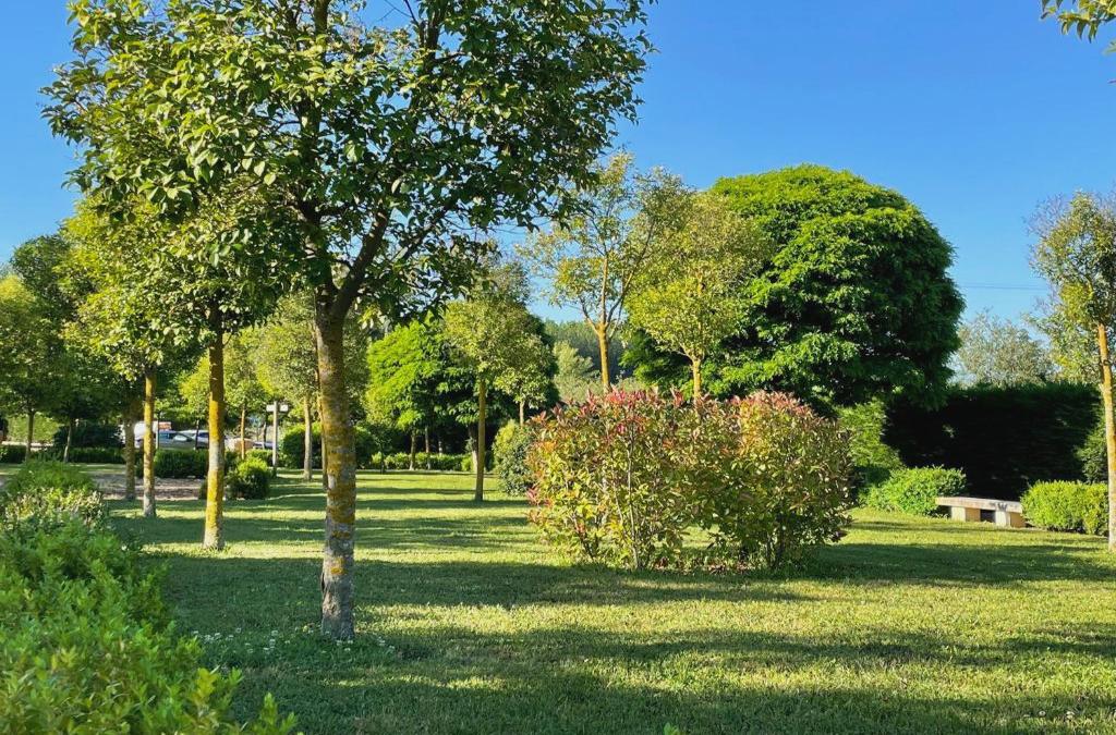 ¡Desconexión entre viñedos! La Rioja desde tu villa privada